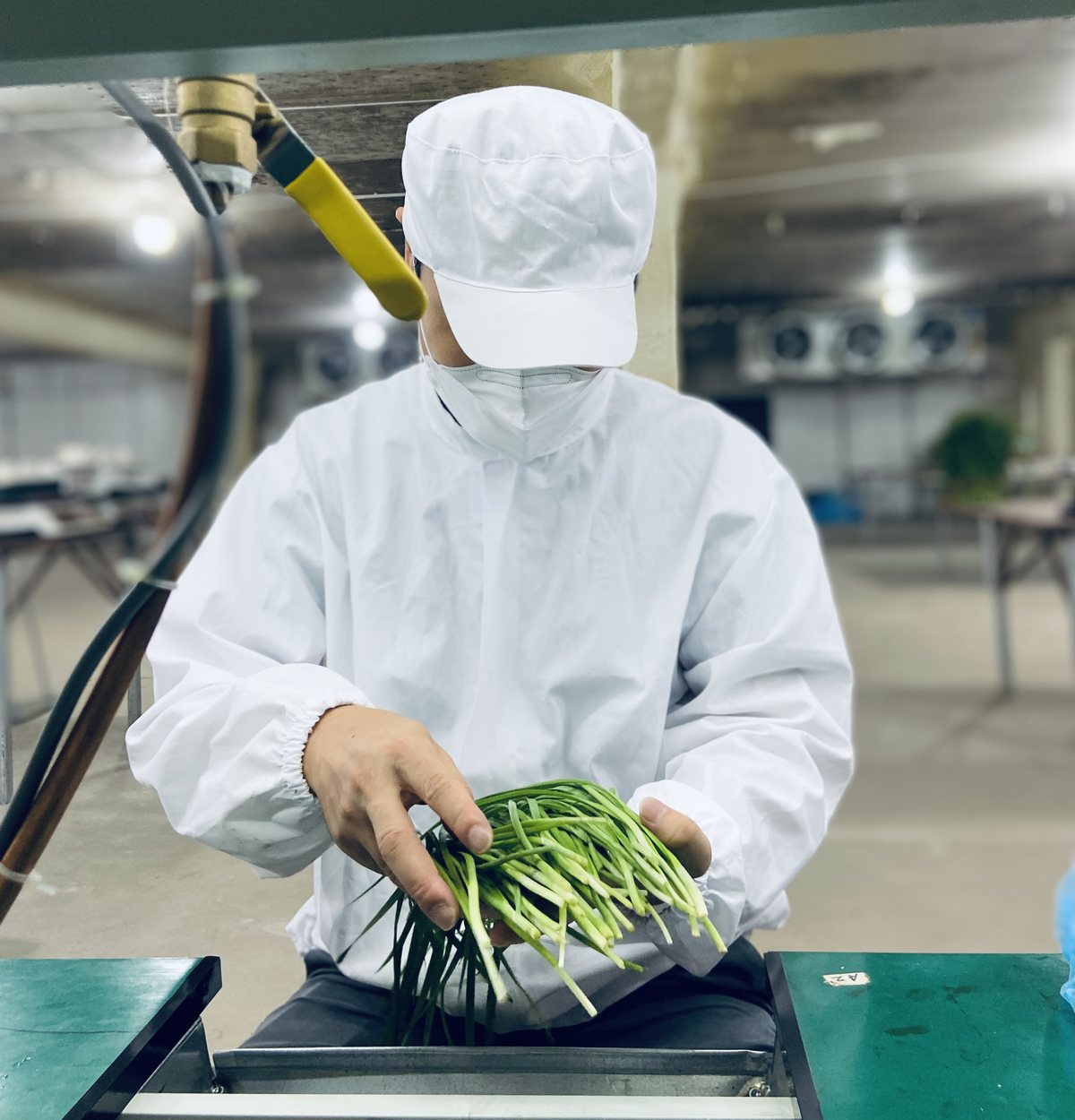 标准化分拣加工车间